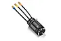 Hobbywing Seaking 54113SL 800Kv brushless motor with black finned casing, three wires with bullet connectors, and a metal output shaft.