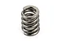 A close-up studio shot of a metallic grey coil spring for an RC slipper clutch mechanism.