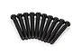 A set of ten black metal binder head screws with coarse threads arranged in a fan shape on a white background.