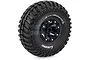 Louise 2.2" CR Ardent Tyres on Black 8 Spoke Rims - Glued Wheels 2Pcs L-T3237VB