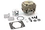 Zenoah G320RC 32cc 4-bolt top end rebuild kit including cylinder, piston, piston ring, wrist pin, clips, gaskets, and screws on a white background.