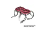 GPM Racing red aluminium dual cooling fan mount with stainless steel adjustable clamp on a white background.
