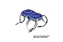 GPM Racing blue aluminium dual cooling fan mount with adjustable stainless steel strap for RC motors.