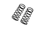 Two black metal RC shock springs with a small blue paint mark on one end, isolated on a white background.