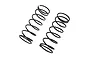 Losi 12.2 lb/in (2.17 kg‑cm) White Rear Springs 2Pcs LOS-3745