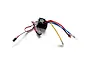 RGT 80A brushed electronic speed controller with cooling fan and pre-soldered wiring harness on a white background.