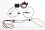 Killerbody LED light set with control box, wiring harnesses, and circuit boards featuring LEDs laid out on a white background.