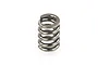 HSP Slipper Clutch Spring 60233