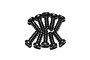 A set of ten small black metal binder head screws with coarse threads arranged in two rows against a white background.