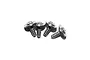 Four silver-coloured metal washer head screws with coarse threads arranged in a row against a white background.