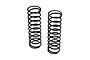 Two black metal coil springs for RC car suspension standing upright against a white background.