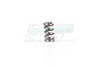 Zenoah Walbro Carburettor 3x6mm Spring 335081350