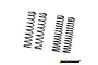 Vanquish 90mm Soft & Firm Shock Spring Set IRC00213