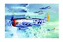 Trumpeter 1/32 P-47D Thunderbolt Bubbletop Fighter Scaled Plastic Model Kit 02263