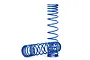 Two blue coil-over shock springs for Traxxas UDR, one standing upright and one lying horizontally on a white background.