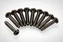 Ten black metal coarse thread binder head screws arranged in a semi-circle on a white background.