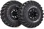 Louise 2.2" CR Champ Tyres on Black 8 Spoke Rims - Glued Wheels 2Pcs L-T3236VB