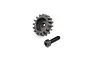 A Losi 16T 1.5Mod steel pinion gear and a black socket head screw on a white background.