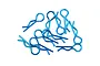 Yeah Racing 1/10 1/8 Laser Blue Body Pins 10Pcs YA-0594LB
