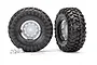Two Traxxas 1.9 inch Canyon Trail crawler tires pre-mounted on chrome rims, with two small wheel hex hubs included in the foreground.