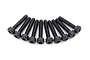 Traxxas 2x10mm Coarse Thread Cap Head Screws 10Pcs 8167