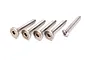 Five stainless steel hex head screws of varying lengths arranged on a white background.
