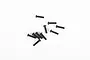 Axial 2.5x10mm Fine Thread Button Head Screws 10Pcs AXI235099