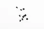 A small collection of ten black metal button head screws scattered on a plain white background.