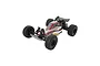 A studio shot of the ECX AMP DB 1/10 scale 2WD electric RC desert buggy in red and black, viewed from a high angle against a white background.