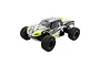 ECX AMP MT RC Monster Truck Electric 2WD 1/10 Scale RTR - Green ECX03028AUT2