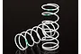 Two white Traxxas GTR shock springs with green identification markings on a black background.