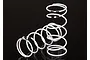 Traxxas Long GTR (Black 0.767 Rate) Shock Springs 2Pcs 7444