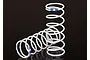 Traxxas XX-Long GTR (Blue 1.004 Rate) Shock Springs 2Pcs 7449