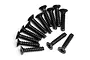 A collection of thirteen black metal countersunk head screws arranged on a white background.