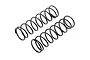 Maverick Black 16x65x1.4mm 9 Firm Coil Shock Springs 2Pcs 150236