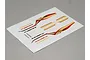 A sheet of Killerbody RC decal stickers featuring red and gold side body graphics for a 1/10 scale Toyota Land Cruiser model.
