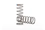 Two grey metal coil shock springs for Traxxas RC vehicles, one standing upright and one lying horizontally on a white background.