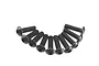 A collection of ten black button head screws arranged in a semi-circle against a white background.