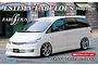 Fujimi 1/24 Toyota Estima Fabulous Half Type w/ Window Frame Masking Scaled Plastic Model Kit 039060