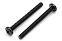 Two black metal binder head screws with fine threads, positioned diagonally on a white background.
