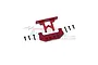 GPM Red Aluminium Rear Bumper & Body Post Mounts 2Pcs SCX24330R-R