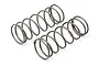 Two grey HPI Racing big bore shock springs for RC cars, shown against a white background.
