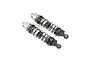 Two Losi 1/10 scale aluminium front shock absorbers for the 22S Drag RC car, featuring silver bodies, black springs, and black plastic ends.