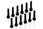 Twelve black metal cap head screws arranged in two rows on a white background.