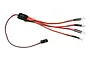 Team Associated XP LED Rock Light Set featuring four clear LED bulbs wired to a central connector with black and red wiring.