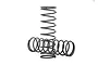 Two black metal RC shock springs, one standing upright and one lying horizontally, isolated on a white background.