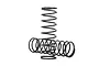 Two black metal coil springs for RC car shock absorbers standing on a white background.