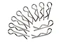HPI 1.6mm Silver Body Pins 10Pcs 101098