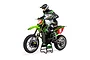 Losi Promoto-MX 1/4 scale RC motorcycle in Pro Circuit livery with rider figure on a black display stand against a white background.