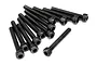 A group of twelve black metal cap head screws with hexagonal sockets arranged on a white background.